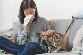 고양이 털 알레르기 완화 방법과 생활 관리 팁_9