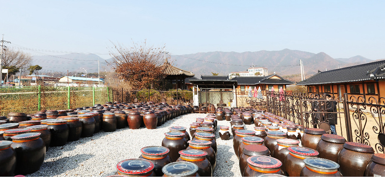 2025 증평인삼골축제&amp;#44;인삼 체험 축제