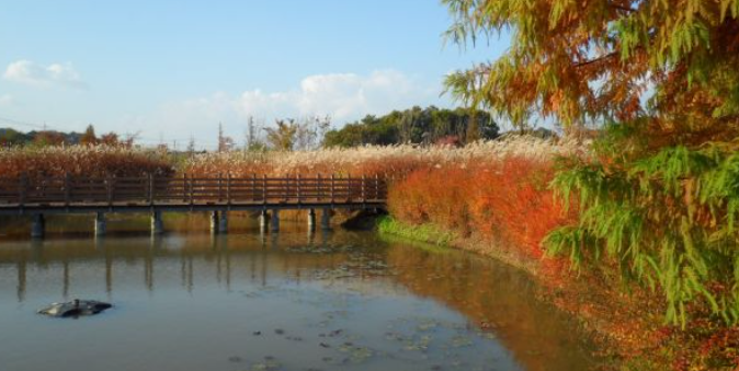 2025 경기도 단풍 명산 BEST ❘ 북한산&middot;남한산성&middot;광교산 등 추천 코스