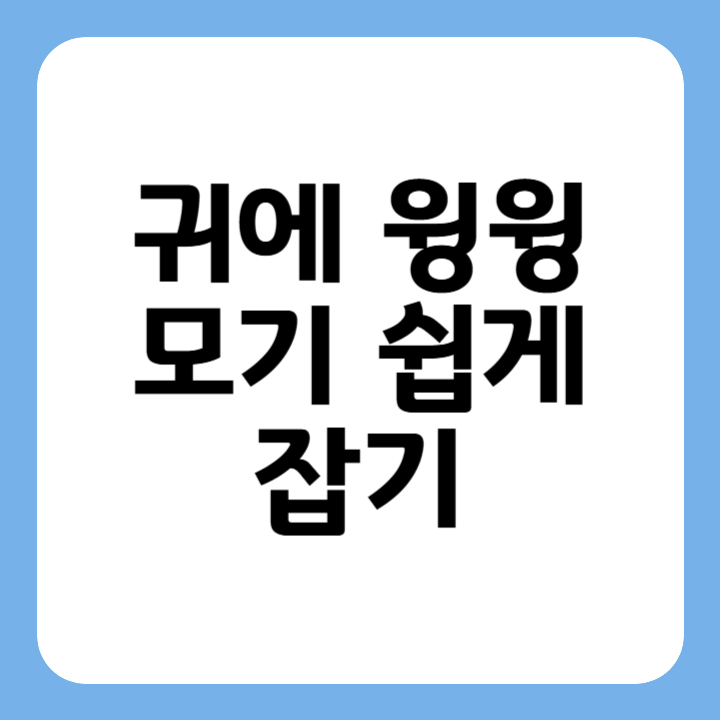 썸네일 : 귀에 윙윙 모기 쉽게 잡기
