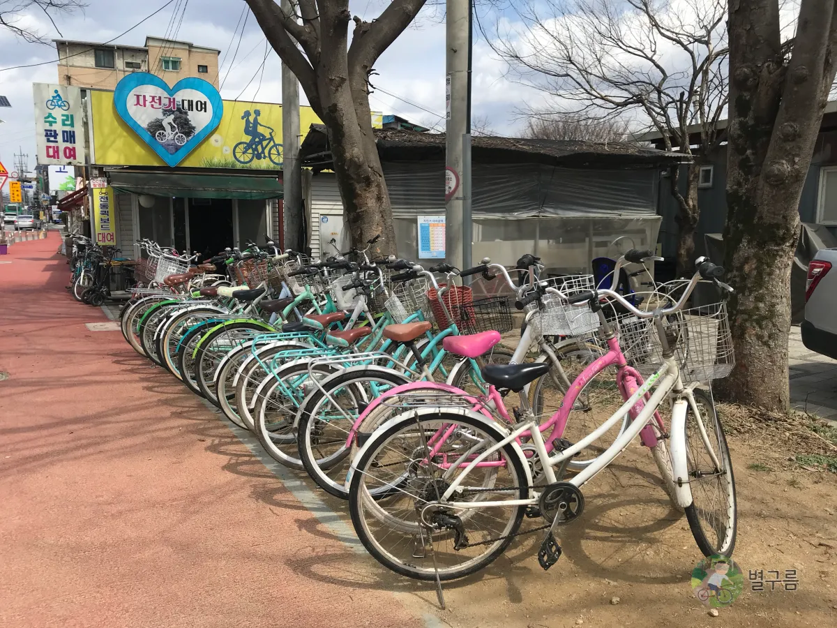 두물머리-자전거-대여용-자전거-한줄로-세워져있다