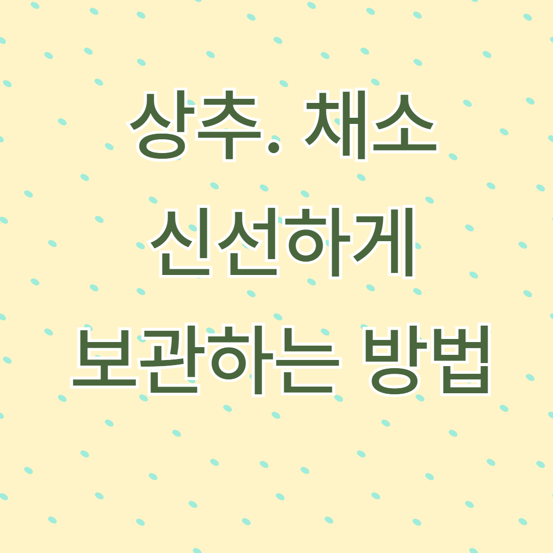 상추와 채소, 냉장고에서 신선하게 오래 보관하는 꿀팁