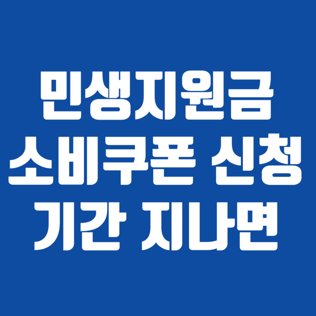 민생지원금 소비쿠폰 신청 기간 지나면