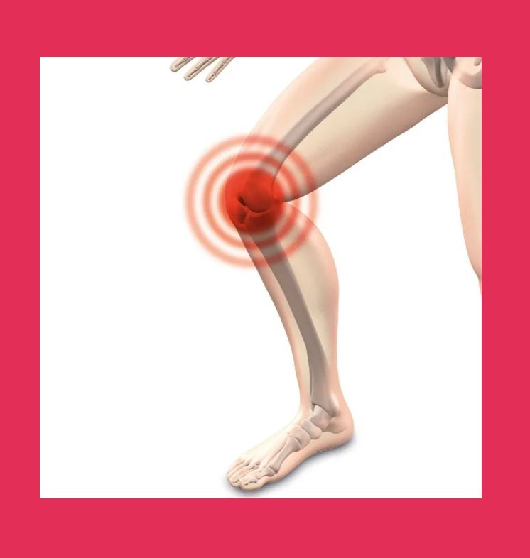 무릎 관절 이미지