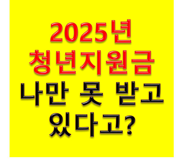 2025년 청년지원금