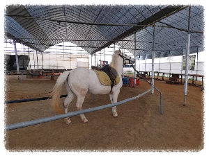 농촌 체험도 요즘은 스타일리시하게 즐겨야죠. 강화도자연체험농장