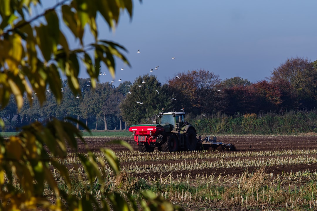 Harvesting.