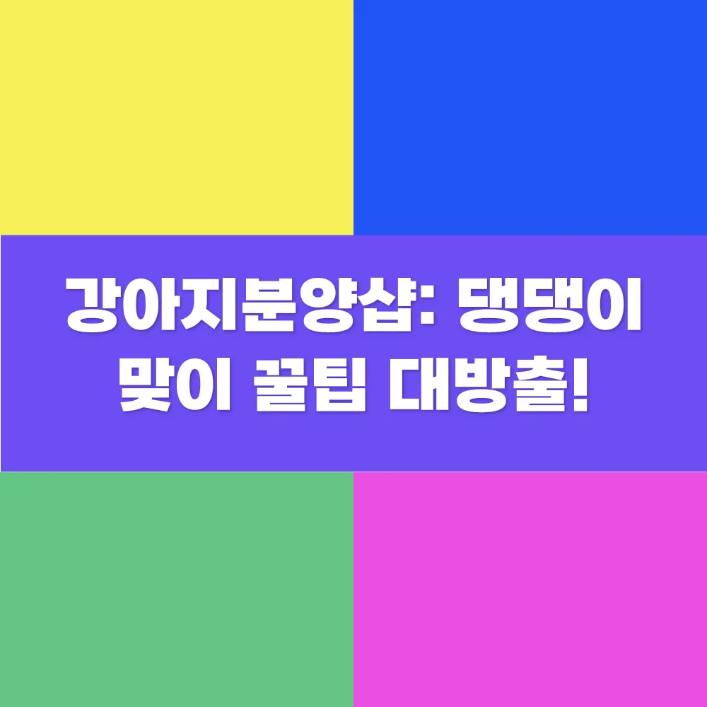 썸네일 이미지