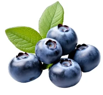 블루베리 효능 먹는법 하루 섭취량 쥬스_2
