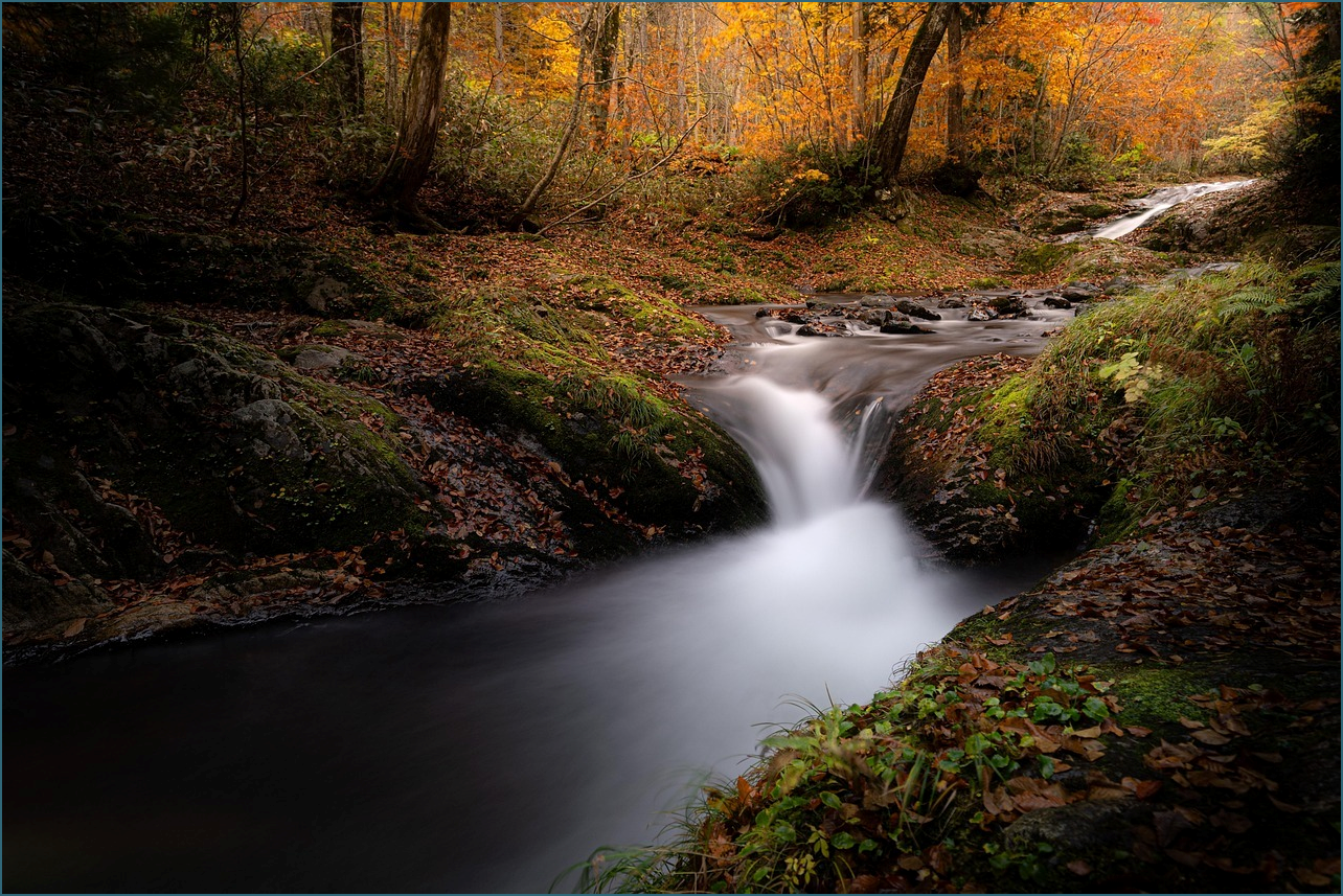 타자연습 바로가기