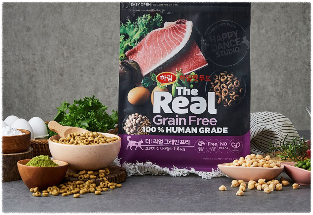 고양이 사료 추천 best 5