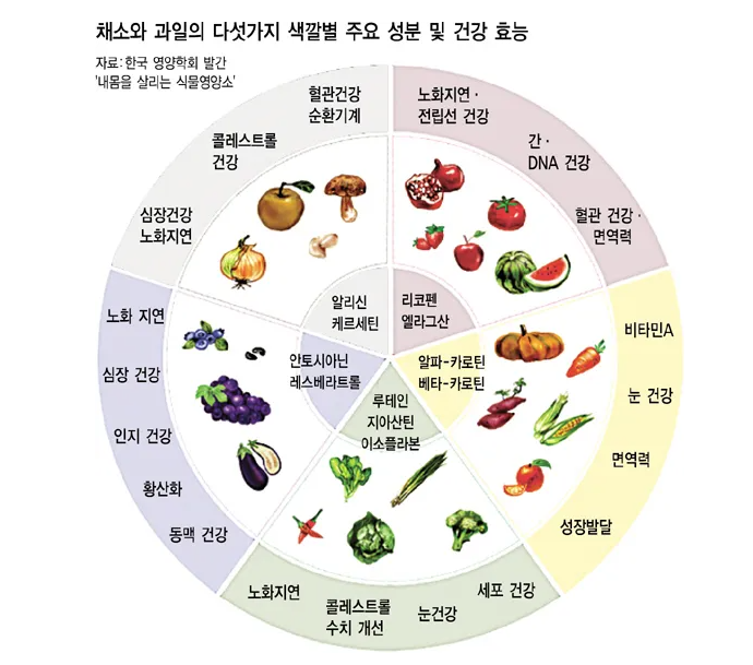 채소와 과일의 색깔별 건강 효능
