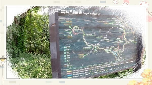 북악스카이웨이 산책로 완벽 가이드: 초보자도 쉽게 따라하는 코스