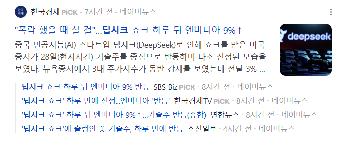 딥시크 주식