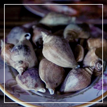 접시에 담긴 소라