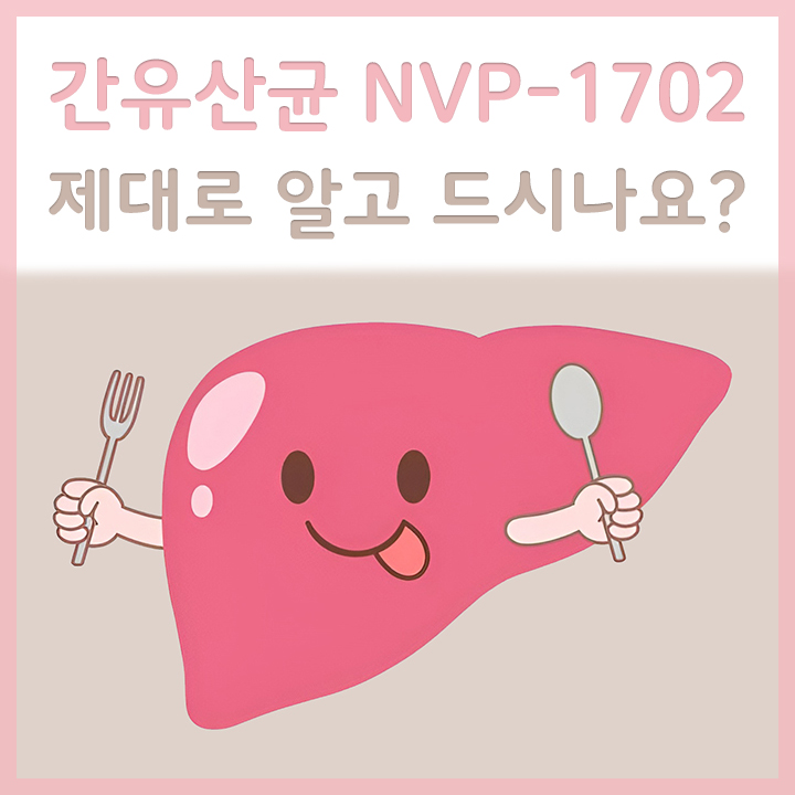 간유산균-NVP-1702를-섭취하는-간의-모습