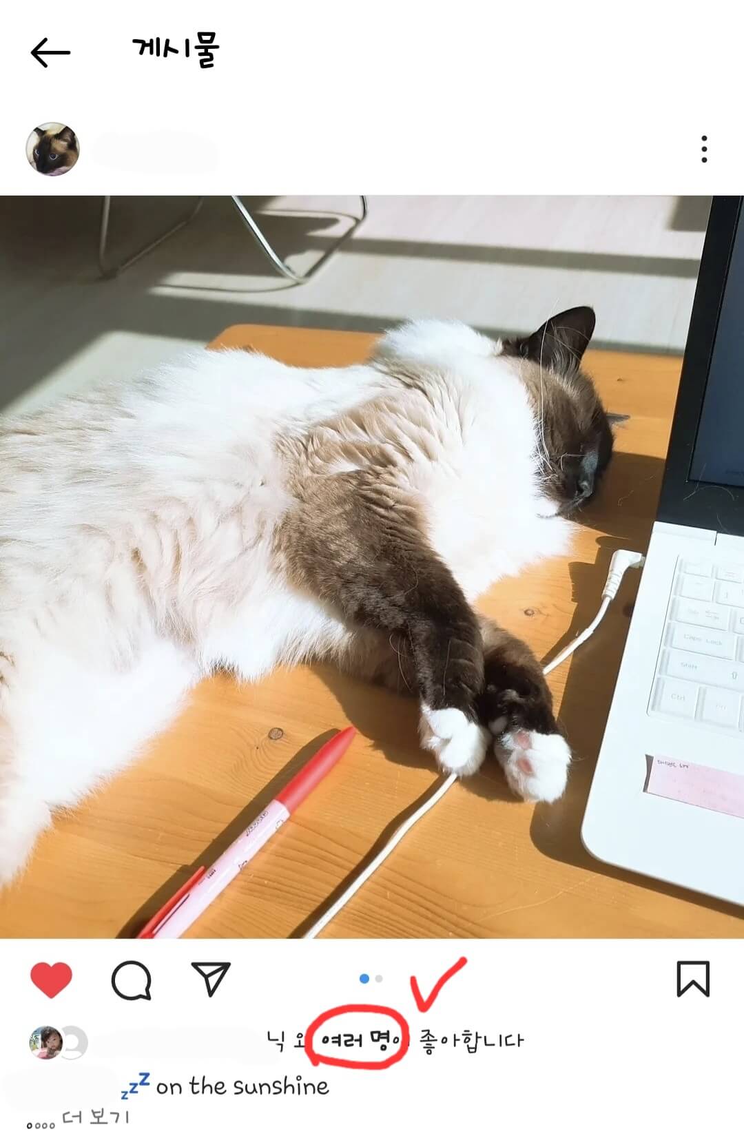 인스타그램-피드-화면-이미지