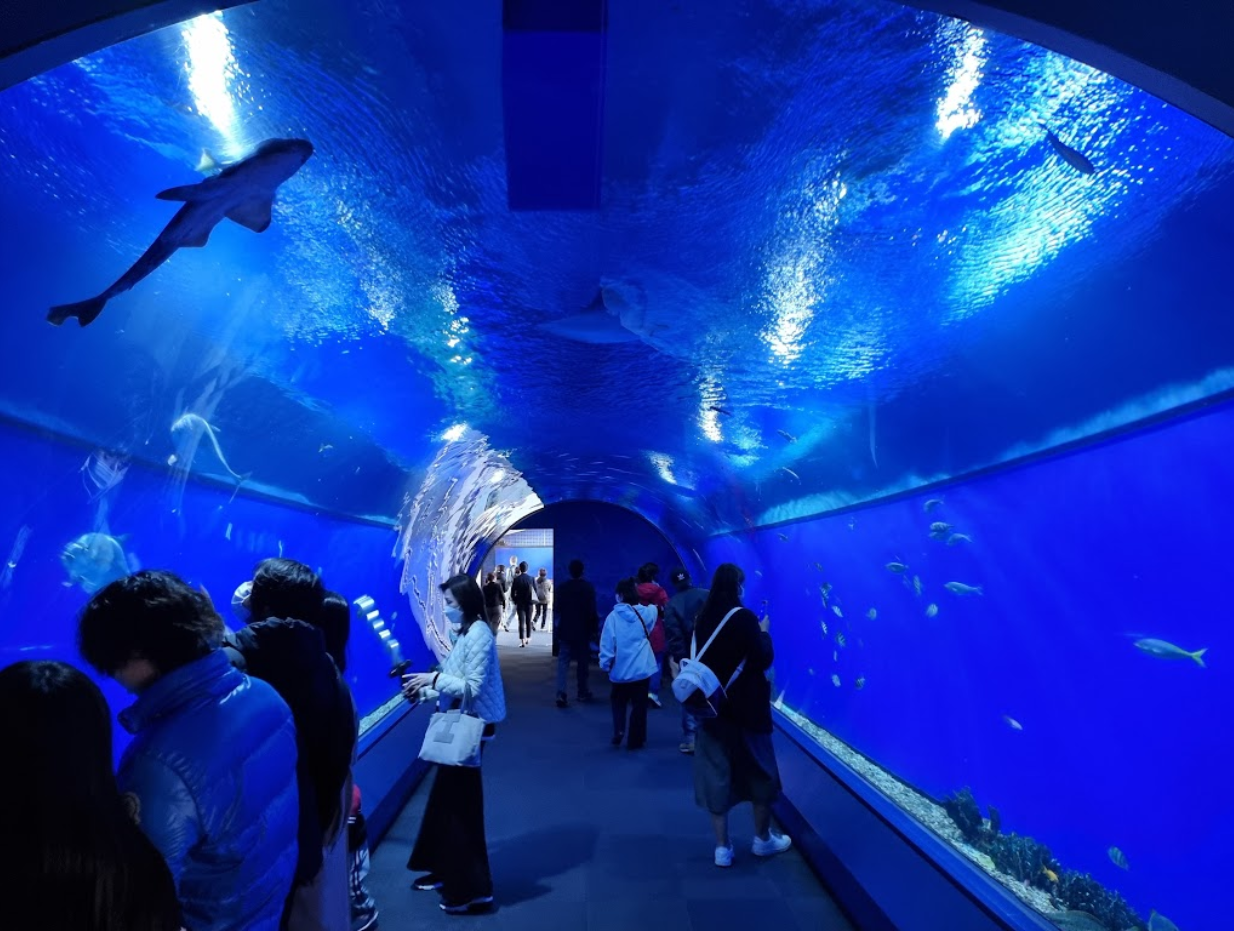 오사카 자유여행 추천 : 오사카 여행 추천 코스