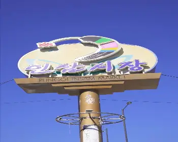 풍기 인삼축제_9