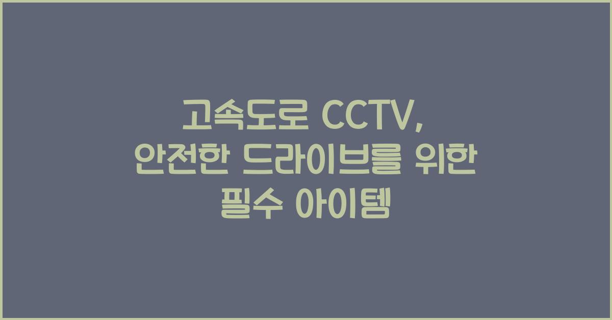 고속도로 cctv