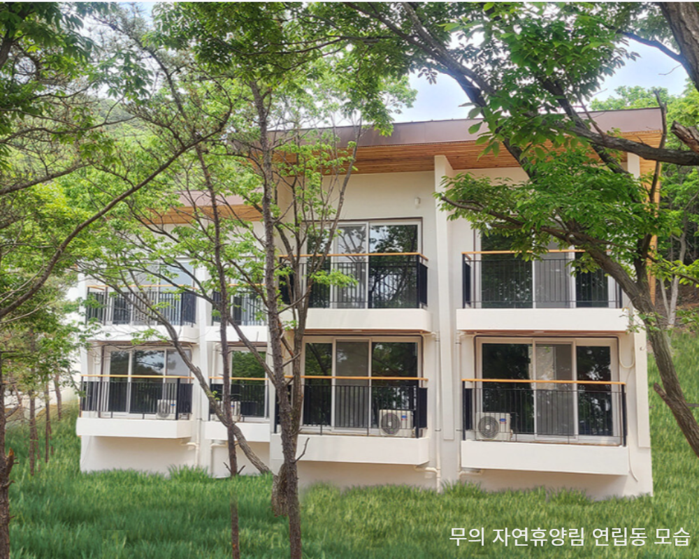 무의도-자연휴양림-연립동-모습