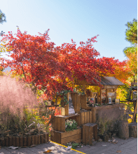 νλ΄μ² μ κ²½μ¬μ§