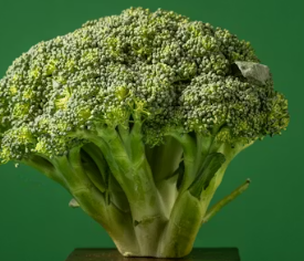 우울증에 좋은 음식 7가지 영양제 식단