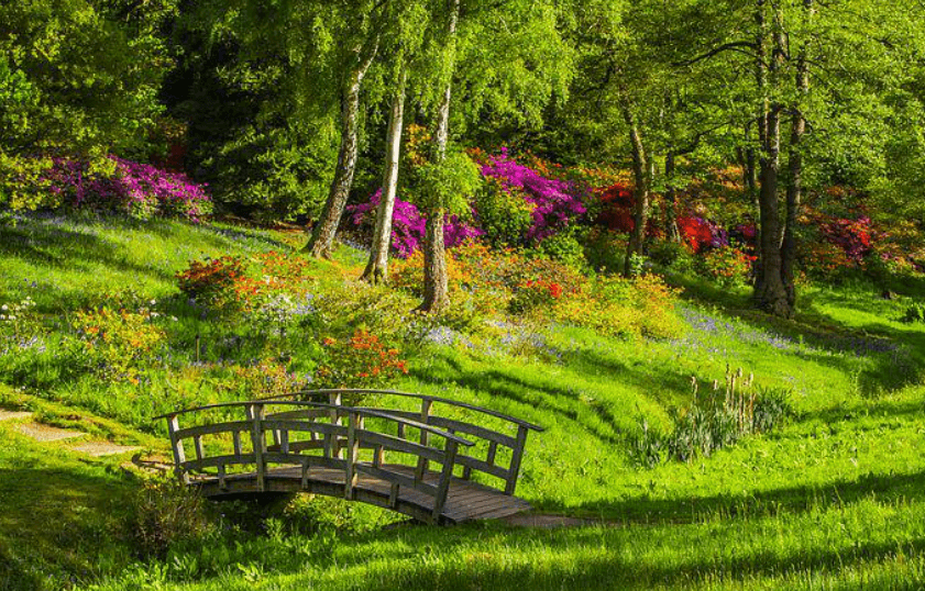 다리 건너는 꿈
다리 끊어지는 꿈