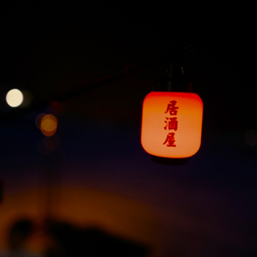 어반포레스트 타프 데이지체인