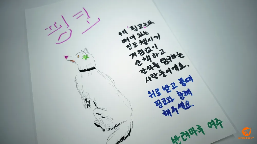 핑코도 꼭 좋은 주인을 만나기를 바라봅니다.