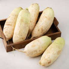 6시내고향 충남 서산 무 무우 파는 곳 전국 택배 온라인 전화 주문 추천 