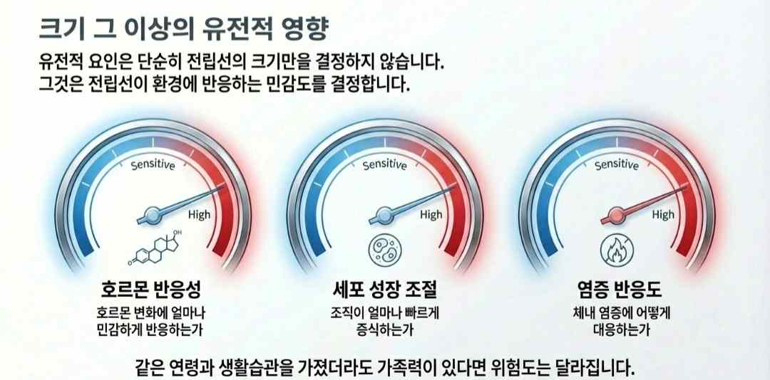 전립선비대증원인-사진6