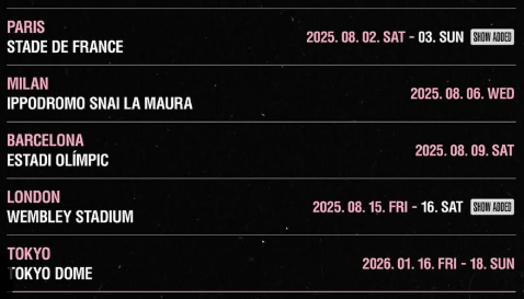 블랙핑크 콘서트