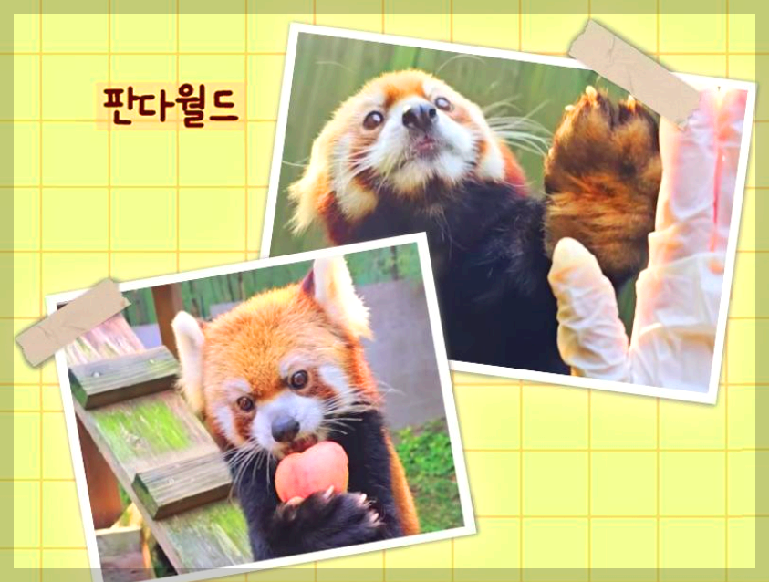 에버랜드