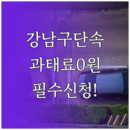 강남구 주정차 단속 알림 신청 방법 ..