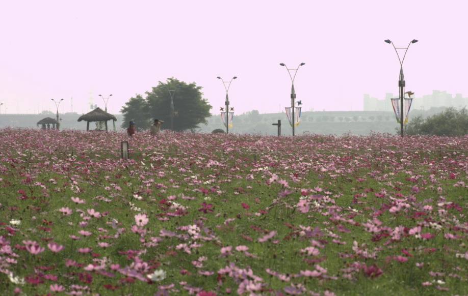 구리한강시민공원 이미지