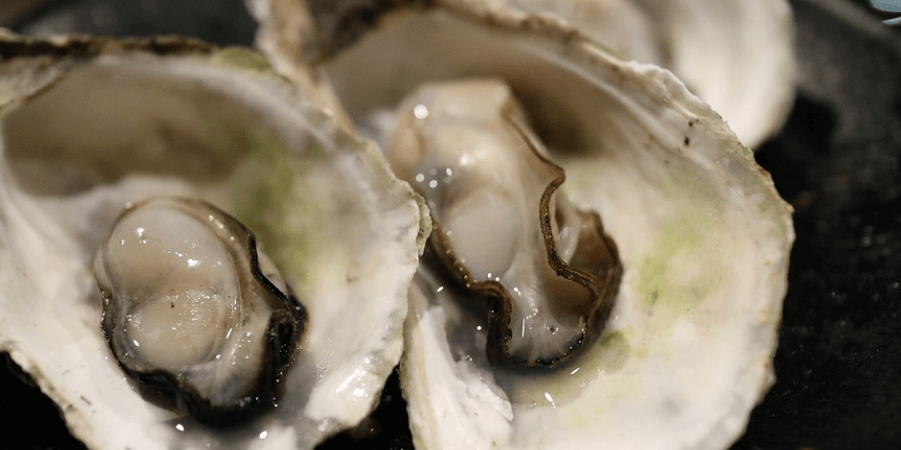 굴의 효능 껍질과 함께 요리한 굴 요리가 놓여 있다