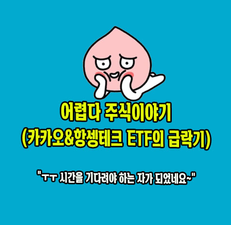 어려운 주식이야기-카카오&항셍테크ETF의 하락이야기
