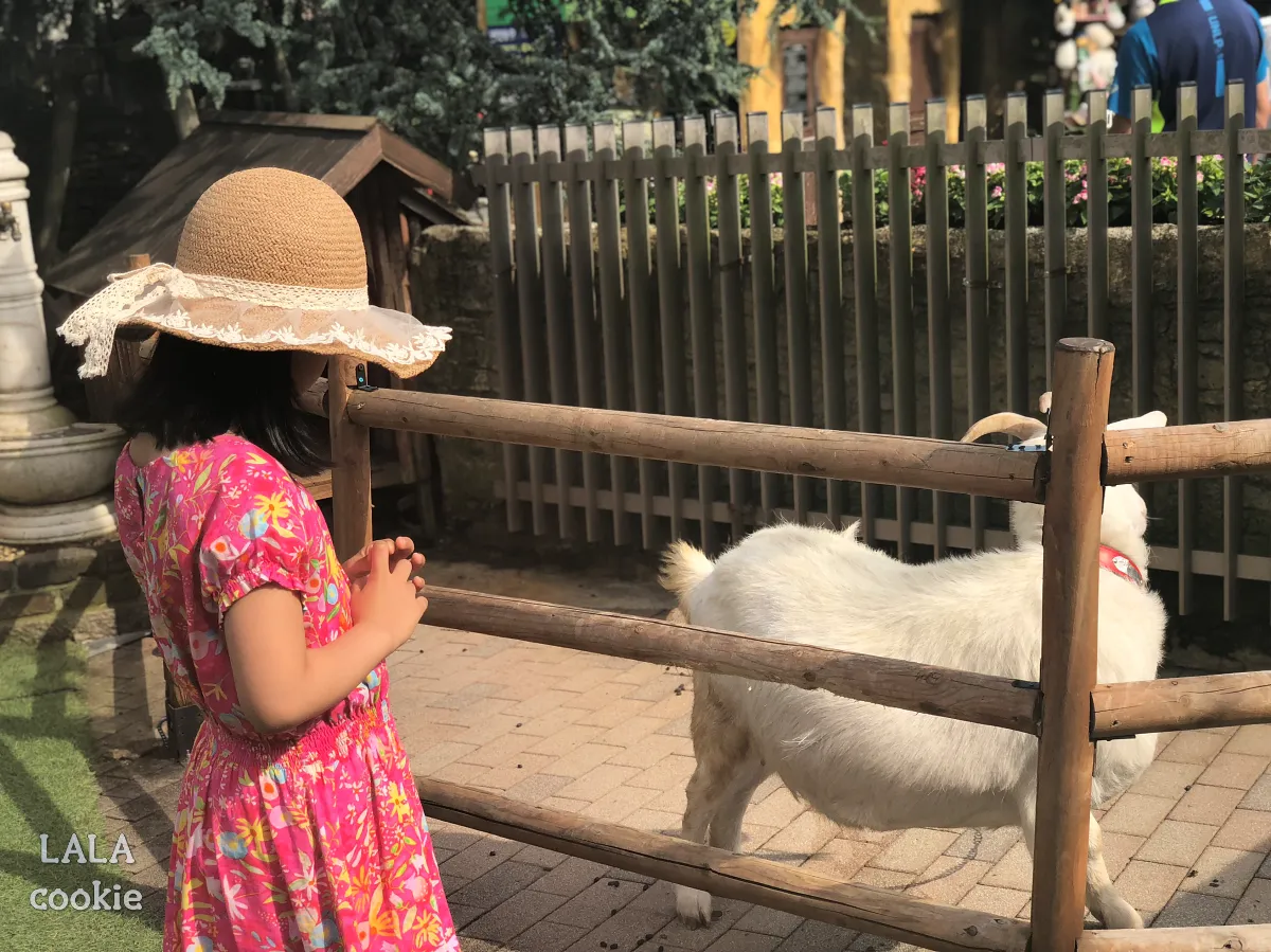 후쿠시마-유후인-가볼만한-곳-플로랄빌리지-후기-동물원-염소와-핑크색-원피스를-입은-어린-소녀
