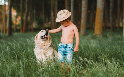 키즈 친화적 희귀 반려동물 (무해, 안전, 크기)