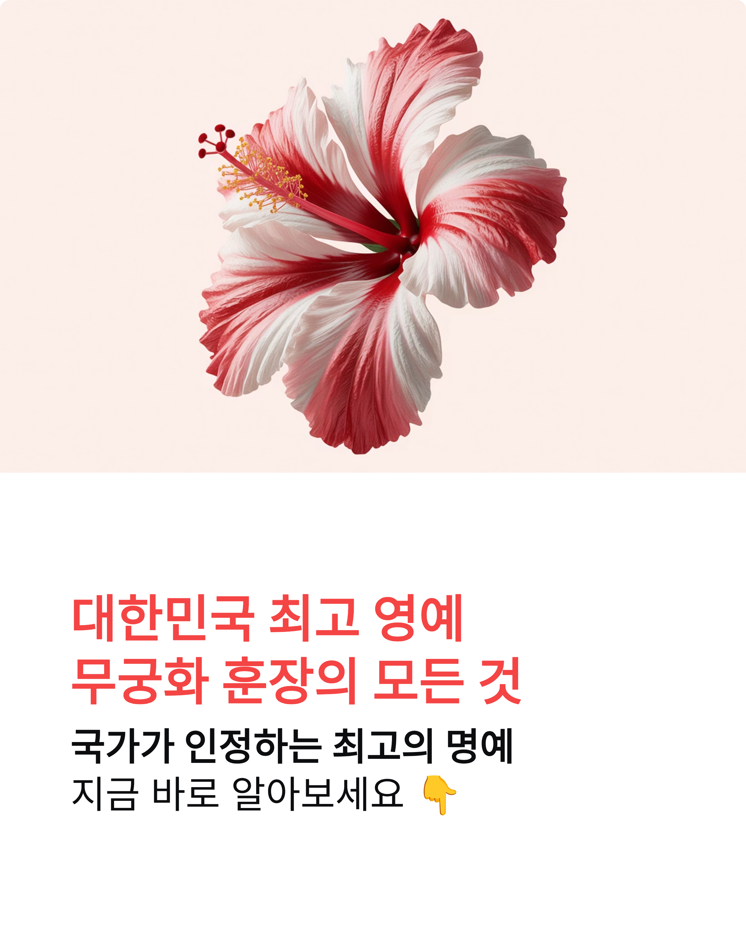 무궁화 훈장 완벽 가이드 ❘ 등급·종류·수여 대상 총정리