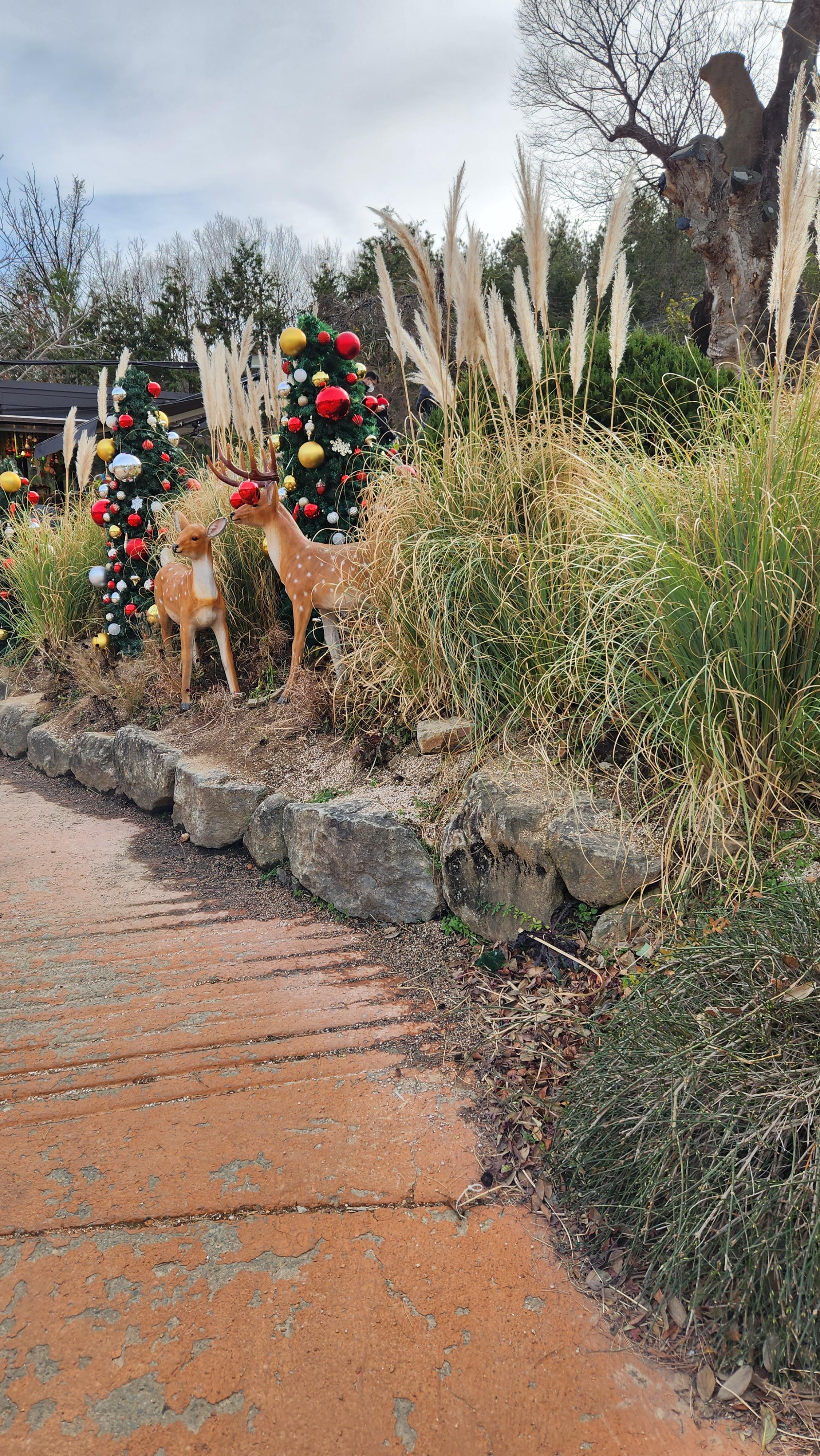 대구-네이처파크