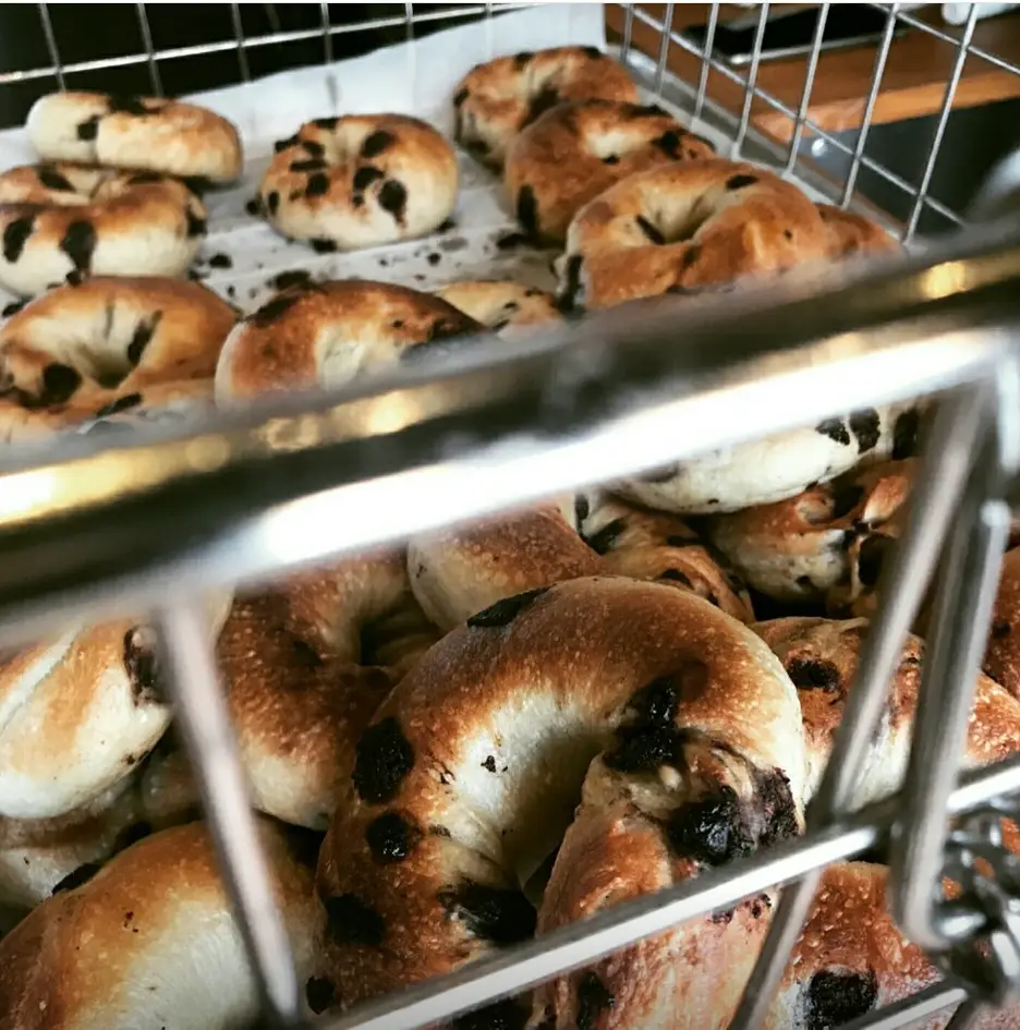 코끼리베이글-베이글