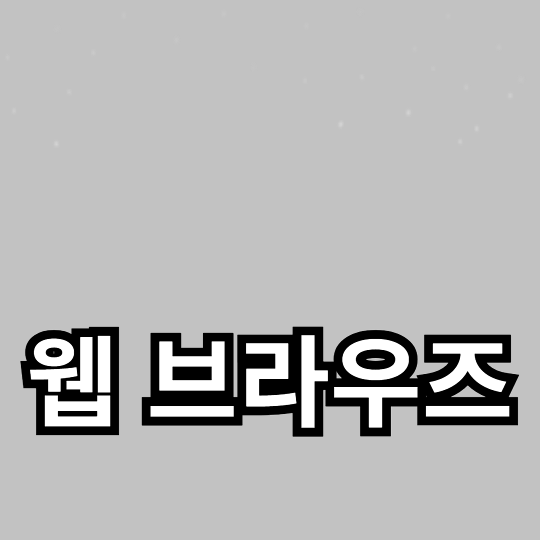 속도와 보안 모두 갖춘 브라우저