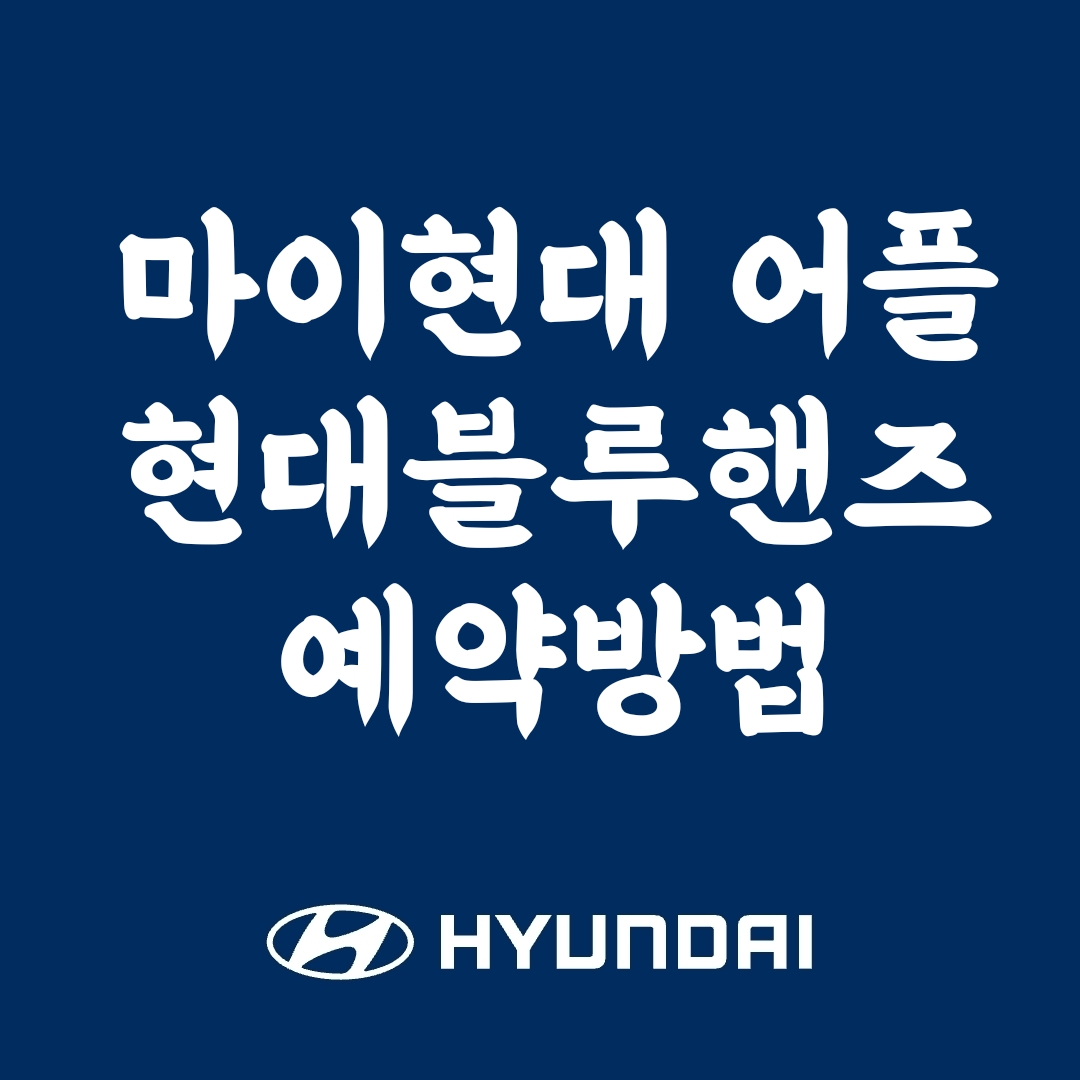 현대블루핸즈 예약