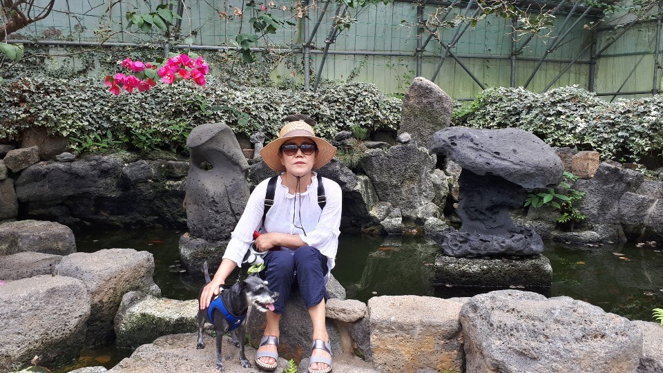 작은 연못앞