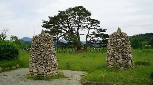 상주상현리반송
