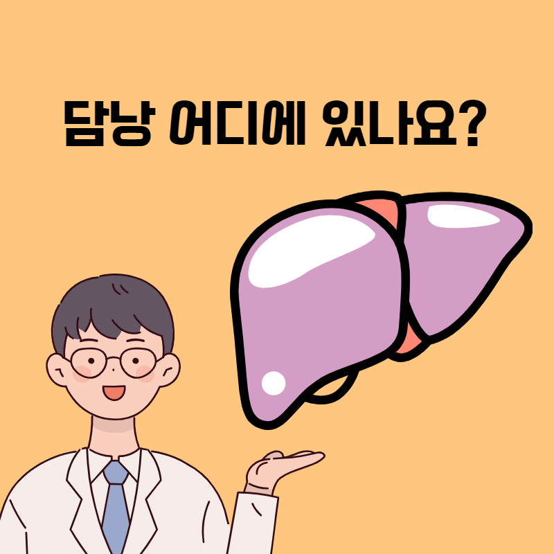 담장용종병원