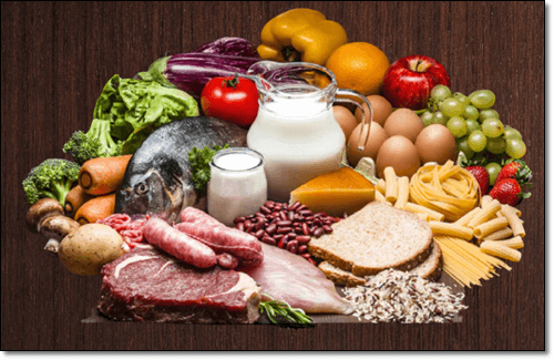 단백질많은음식