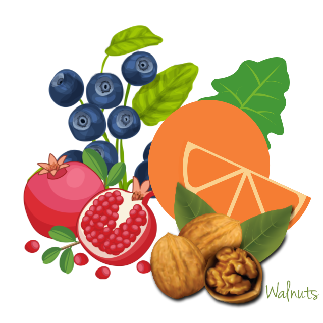 뇌건강에좋은음식그림